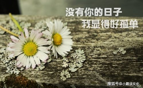 心情低落无奈的句子,句句伤感落寞,写给很累的自己