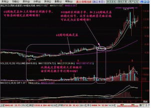 股票的份额一般来说是散户多还是庄家多?