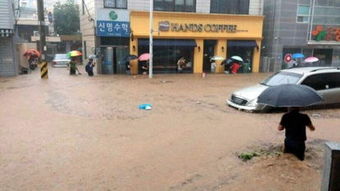 韩国遭暴雨侵袭 釜山地区车辆被淹 