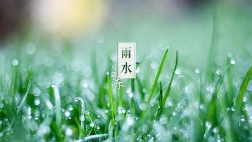 关于雨水溅出涟漪的诗句