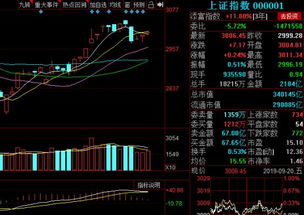 有支股票查不着行情为什么