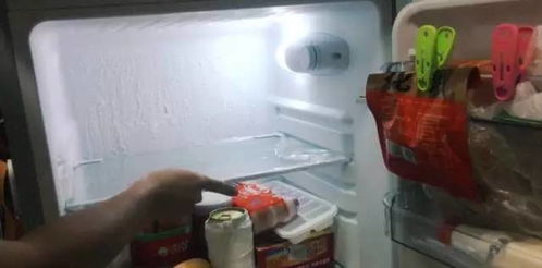 在冰箱里放一块这个,让你一辈子都不用清洁冰箱 