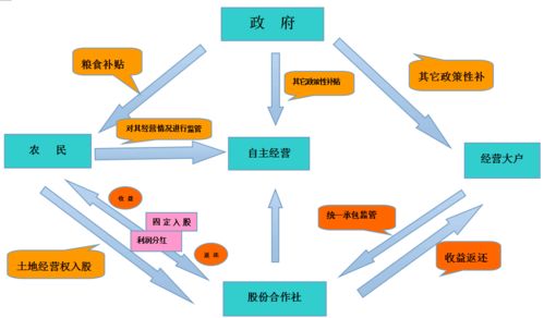 土地入股与分红有什么联系