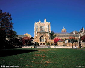 纽黑文大学和耶鲁大学(美国纽黑文治安怎么样)