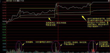 如何编写天涨幅开盘一个小时内涨幅炒股5%的股票的条件选股