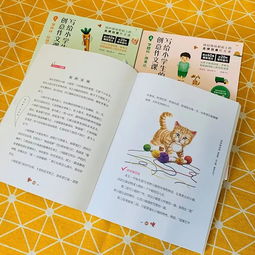 全台湾孩子都在用的提分神器 写给小学生的创意作文 ,从此作文不用愁