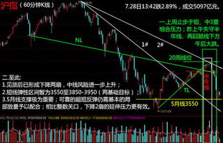 一个上市公司的大股东也得在证券公司做股票么