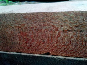 蛇皮木蛇纹木是一样木材 