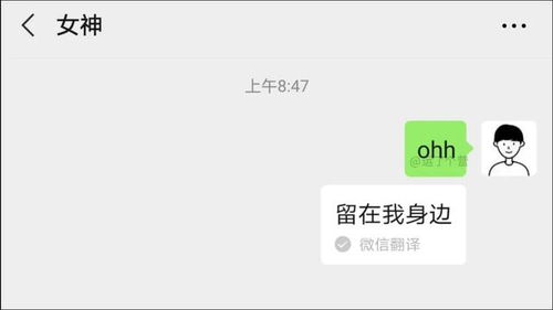 微信 表白彩蛋 来了,快拿去表白对象