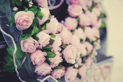 什么花代表暗恋男生 花语是单向暗恋的花
