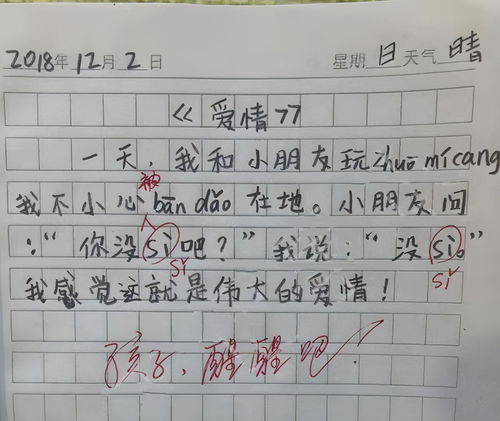 关于爱情的作文800字高中