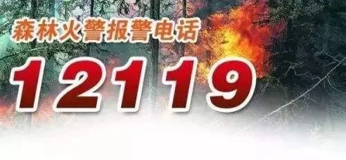 防火于未燃 这些森林防火知识,你知道吗