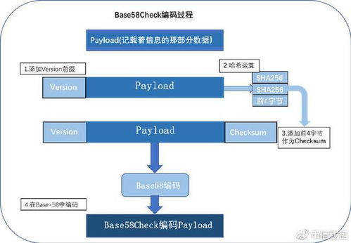 比特币隔离见证是什么,一个比特币私钥有多少个地址