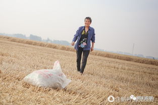 农村老家的这些场景 你经历过几种 