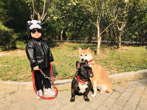 请教各位,北京周边有可以允许带宠物的酒店么