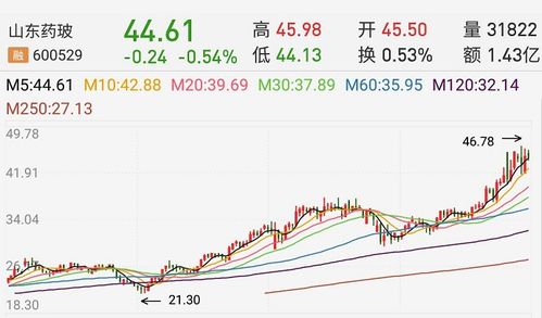 山东宝德龙医疗康复设备有限公司怎么样?