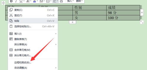 赛效 WPS中绘制的表格如何添加边框