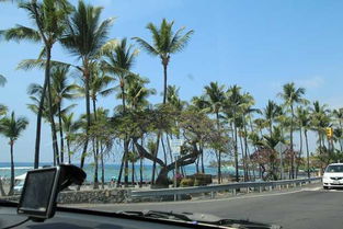 2015年2月夏威夷之旅第三卷 夏威夷岛图片 