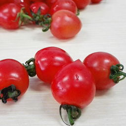 千禧小番茄热量 千禧小番茄的功效与作用