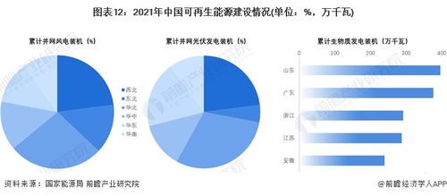 五大四小发电集团