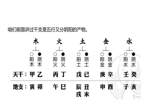 学习八字命理,照这样学一定是最简单的方法 二