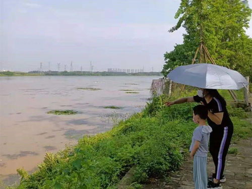 市民建议给烂泥湖改个名,你怎么看