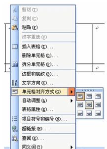 公式编辑3.0中编辑公式时显示乱码  不知是怎么回事啊？？