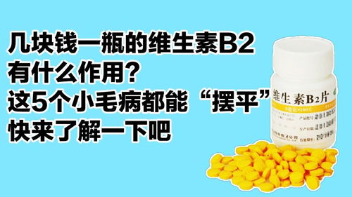 维生素b2有啥生活小常识(维生素b2都有什么生活用处)