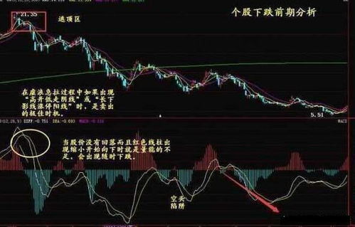 昨天天齐锂业股票大跌原因? 仅仅是主力出货？原因呢？留还是走？