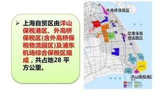 上海临港自贸区在哪里