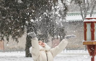 下痛快了 北京的第二场雪 