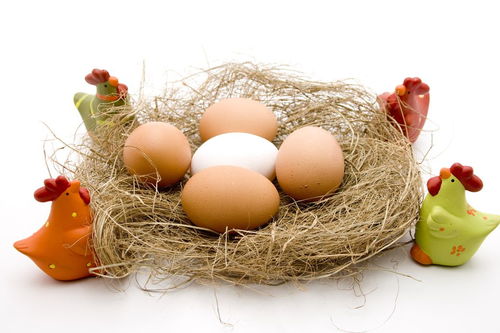 注册鸡蛋商标 用什么名字,商标能过的 原生态 纯天然土鸡蛋 