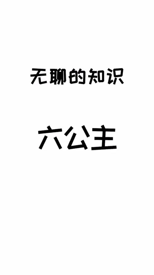 六公主冷知识(六公主是什么东西)