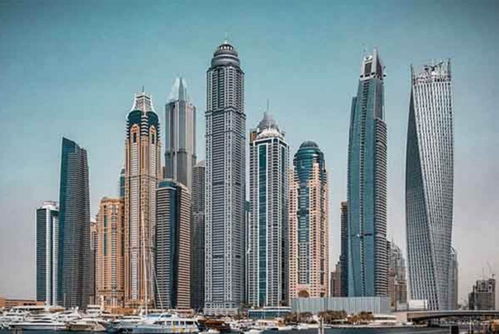 费德勒870万美元在迪拜买房,2020世博将至,迪拜未来房产收入高到你想不到