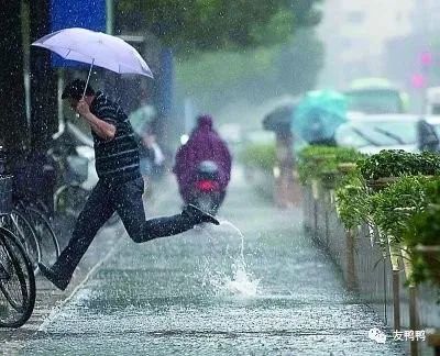 人生的港湾,友鸭为你避风雨