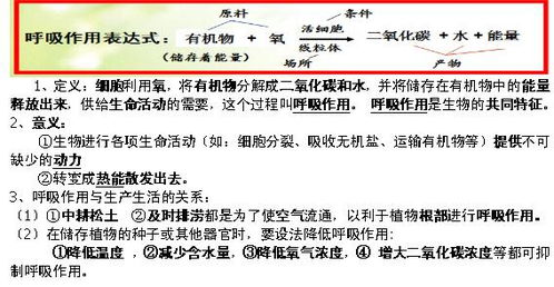 2020年中考生物复习提纲 呼吸作用的过程和意义