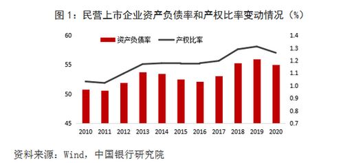 中银研究 我国民营企业高负债问题的发展现状 主要原因及政策建议