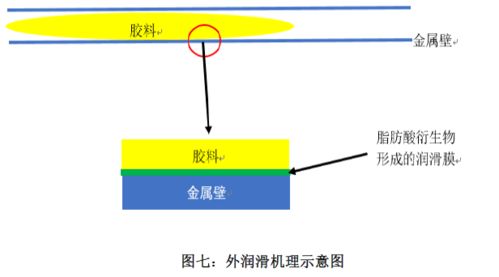 表面效应解释词语是什么,什么是ADCC效应？