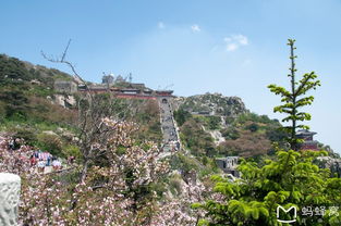 泰安一日游,一日游泰山