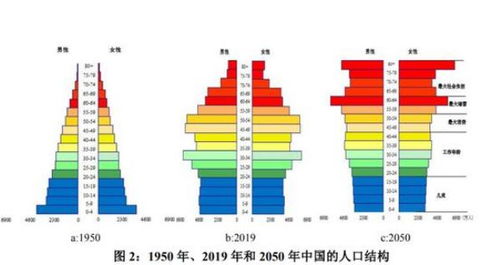 维普查重是否只针对正文内容？一文解答您的疑惑