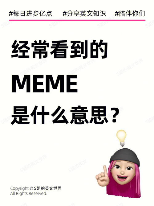 Day138 经常看到的MEME,是什么意思 