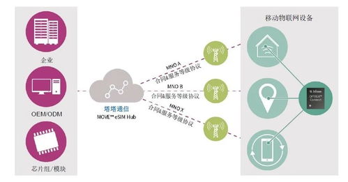 结项查重率要求与应对策略：一站式解决方案