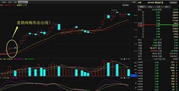 尾盘拉升或急跌的股票代表什么意思