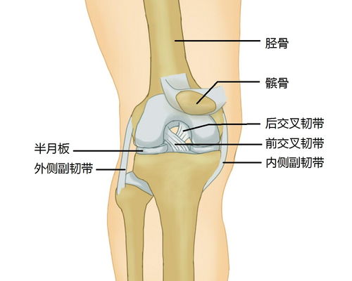 这五点,做完膝关节韧带手术后一定要注意