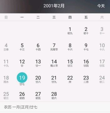 2001年2月19日出生的那她生日农历或阳历是什么时间 