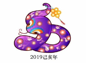 1989年属蛇的人2019年运程, 89年出生的属蛇人猪年运势