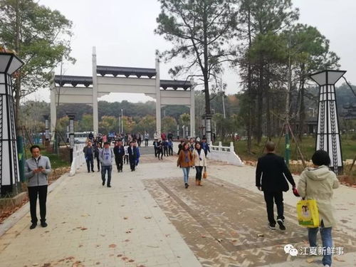 江夏古驿道免费停车场在哪,武汉江岸区花桥二村有免费停车吗在哪里