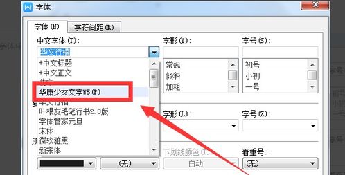 wps怎么导入自己下载的字体安装 