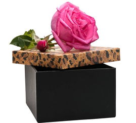 玫瑰花怎么包装 几种常见的玫瑰包装法