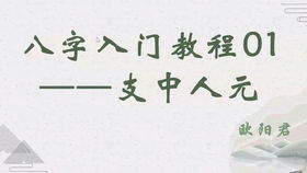 欧阳君八字案例分享06 一个宅男的八字